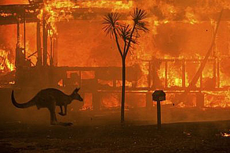 Incendios en Australia: "En Chile tenemos condiciones muy similares"