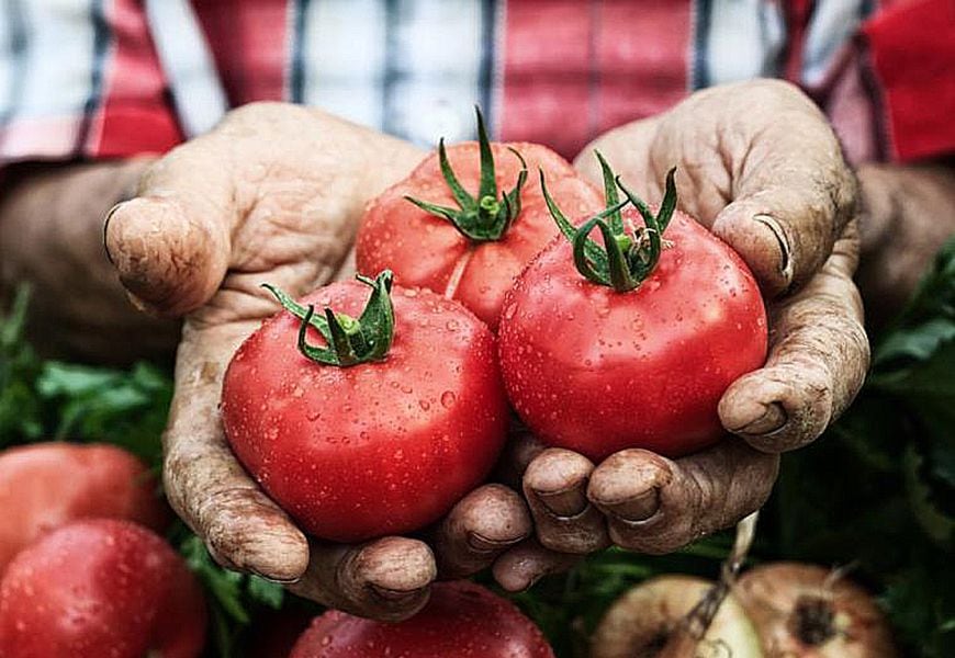 Estos 10 alimentos hacen tiritar el bolsillo de los chilenos