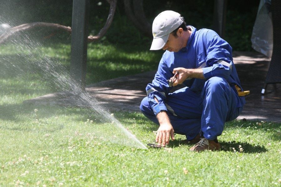 Deje las preocupaciones de lado y cuide sus plantas a distancia