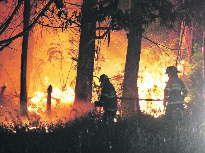 Menor detenido por incendio en Coronel queda en libertad bajo vigilancia