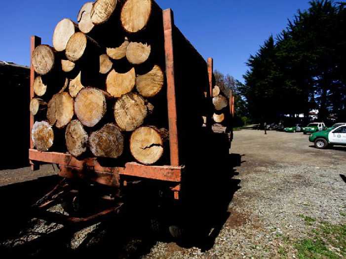 Drama de haitiano que demandó a forestal: perdió 4 dedos y empresa le ofreció pasajes a su país