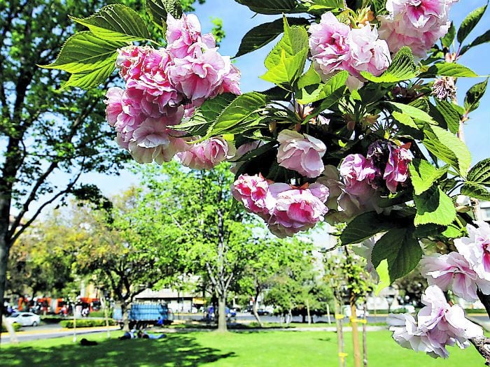 Nuevo huso: horario de invierno se extenderá a cinco meses