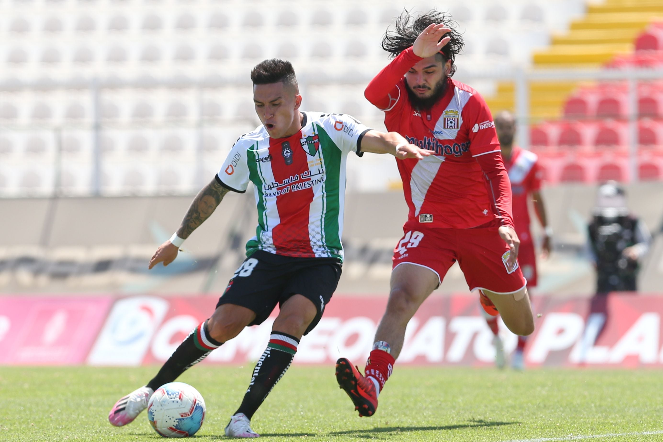 Palestino vs Curico Unido