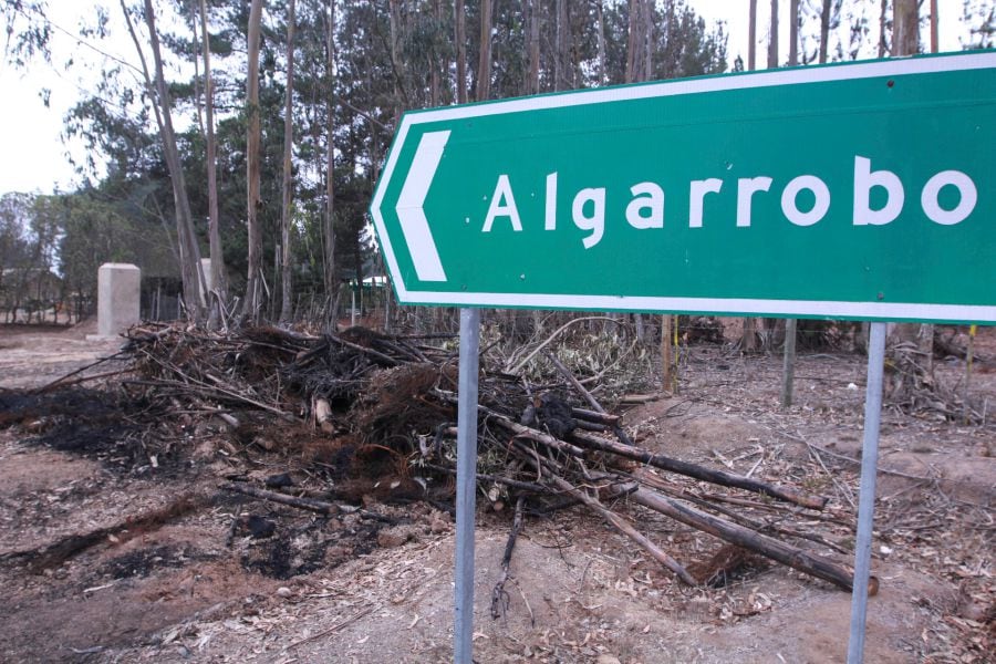 Alcalde de Algarrobo: "Los vecinos denunciarán a la gente que venga a la comuna"