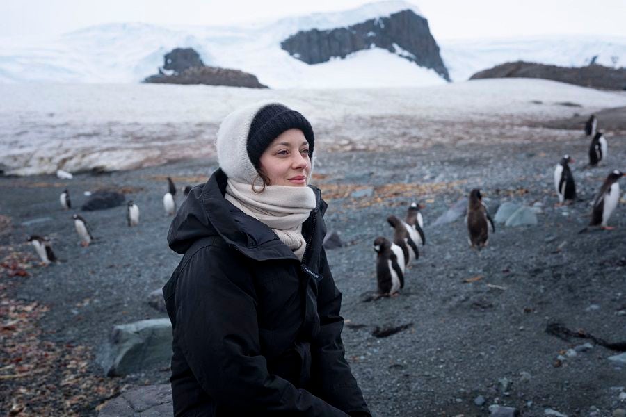 Portrait Of Marion Cotillard In Antarctica