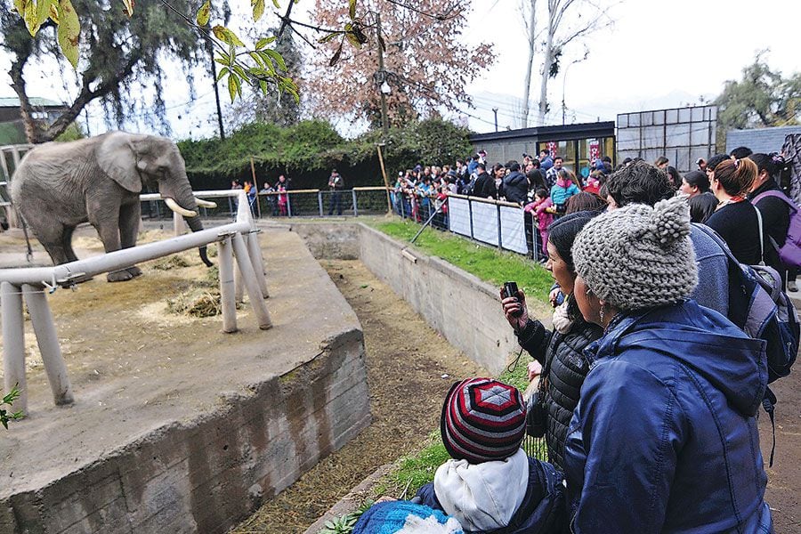 Feroz polémica por idea de mover Zoológico Metropolitano