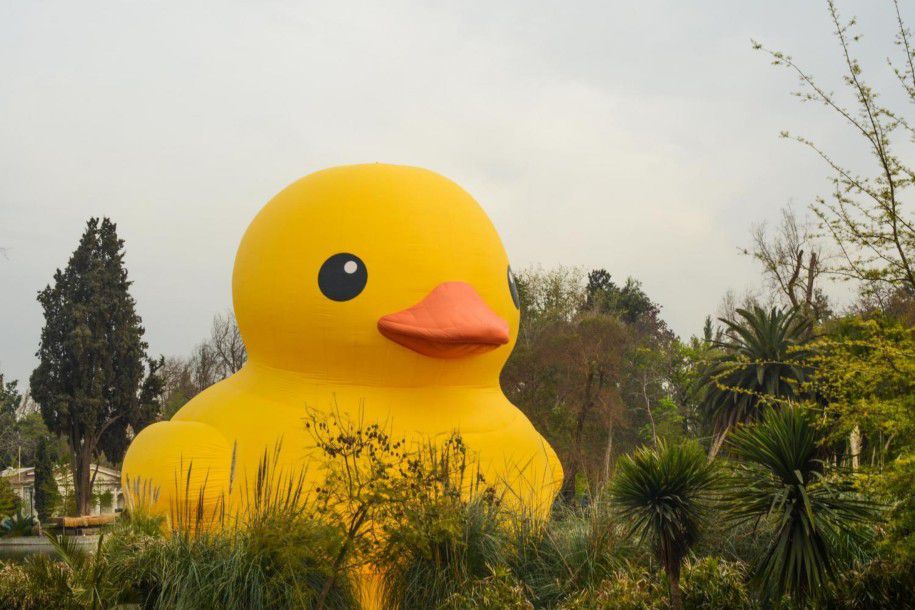 El pato de hule gigante vuelve a Santiago: Dónde y cuándo verlo