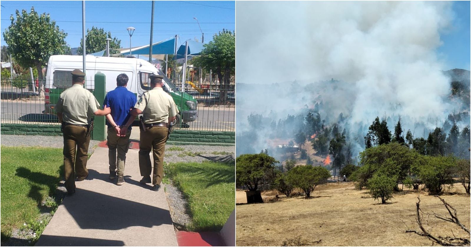 Incendio forestal pumanque