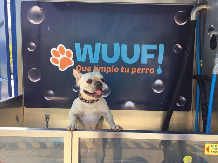 Wuuf permite bañar a su perro al aire libre y en medio del parque