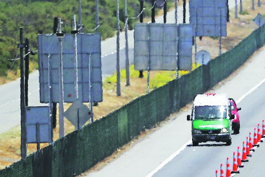 Revuelo causó la presencia de un puma atropellado en plena Ruta 68