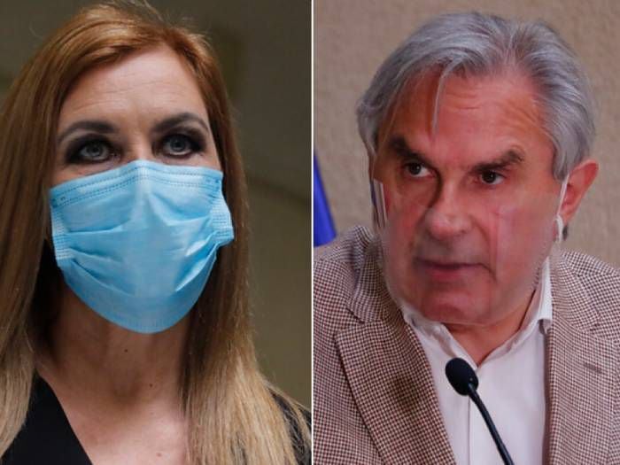 "Tiene un daño cerebral": Moreira en picada contra Pamela Jiles tras insulto al Presidente