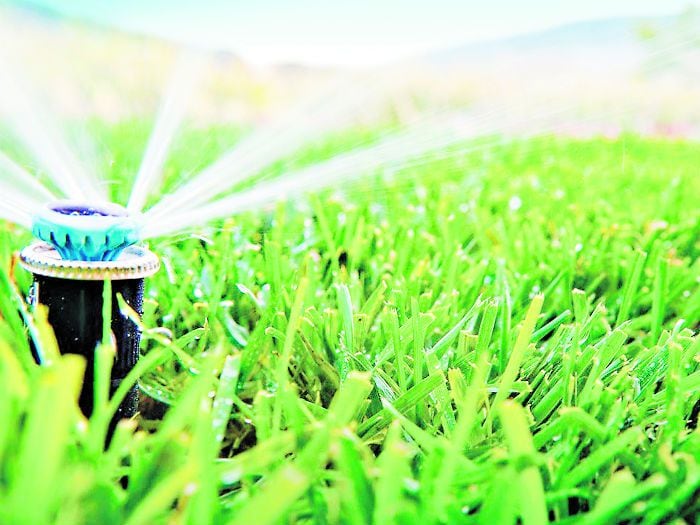 Llegó la solución para regar el pasto y ahorrar agua