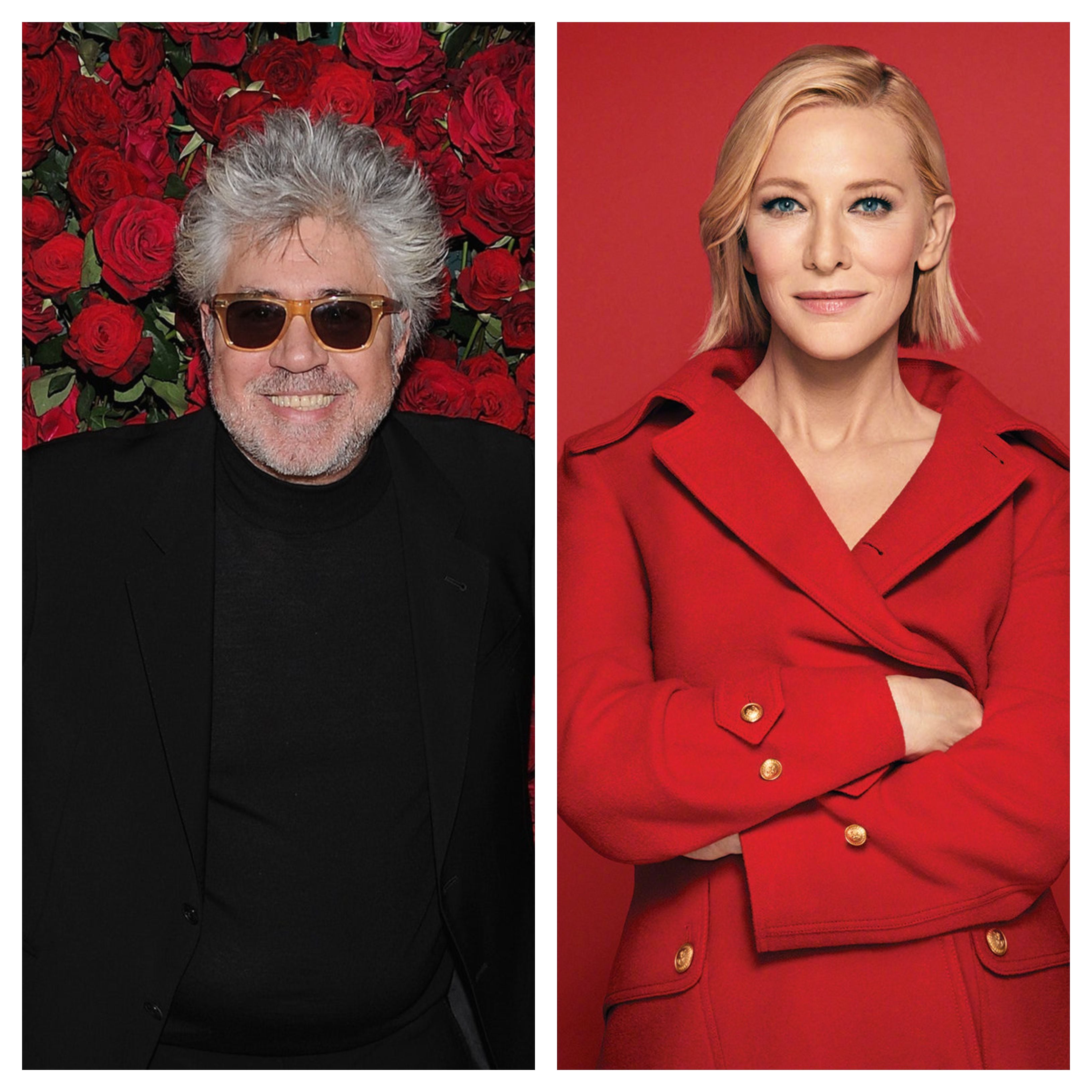 Pedro Almodóvar y Cate Blanchett