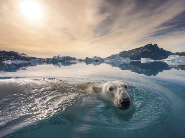 National Geographic celebra 100 millones de seguidores en Instagram con sus fotos más populares 