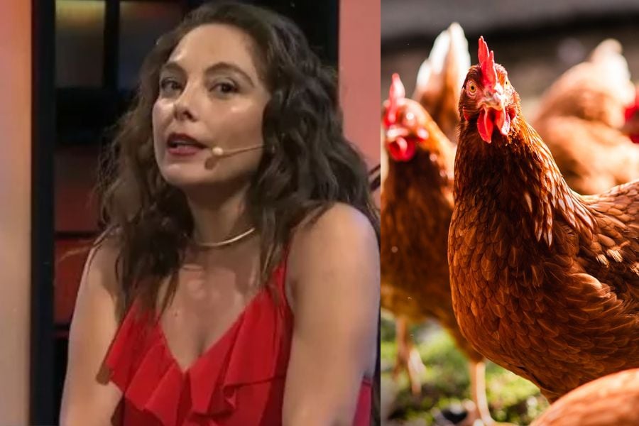 Ángeles Araya reveló su fobia a las gallinas: contó traumática experiencia