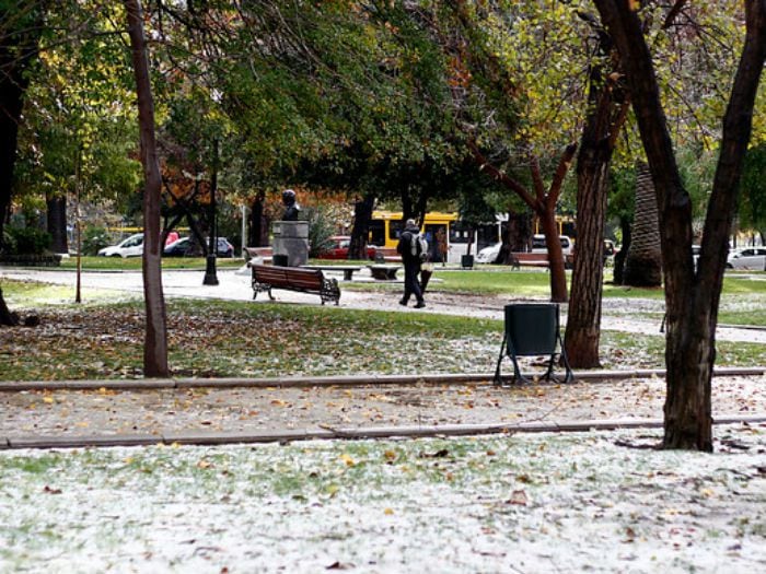 Joven de 21 años confesó que se realizó aborto y enterró feto en Parque Forestal