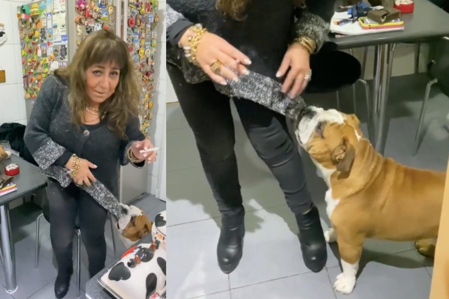 "Rocco, suelta a la abuela": perro de Helhue Sukni se descontroló y la arrastró por toda la cocina en divertido video