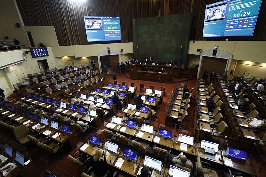 Sesion de la Camara de Diputados. 21/01/2021