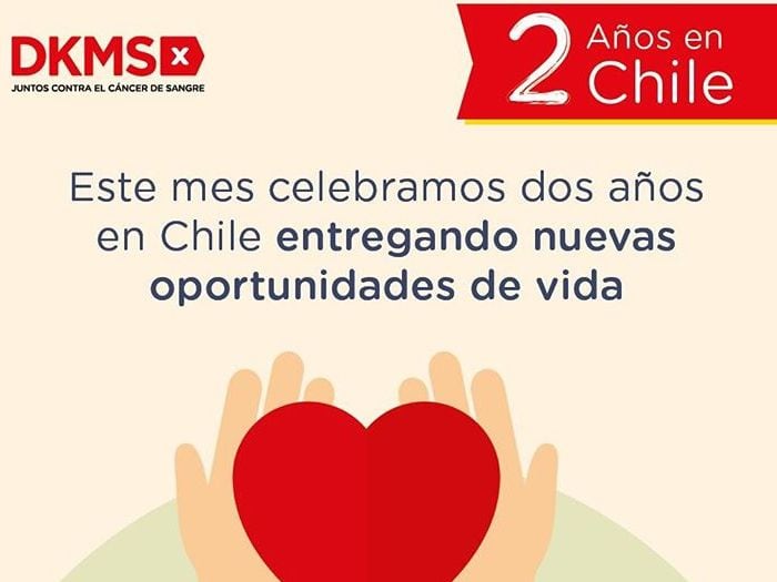 Fundación DKMS logra record de potenciales donantes de células madre sanguíneas