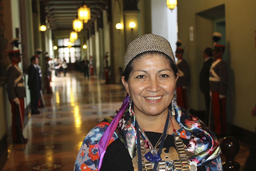 Constituyente Elisa Loncón explica la principal demanda del pueblo mapuche: "Son los derechos de la madre tierra"