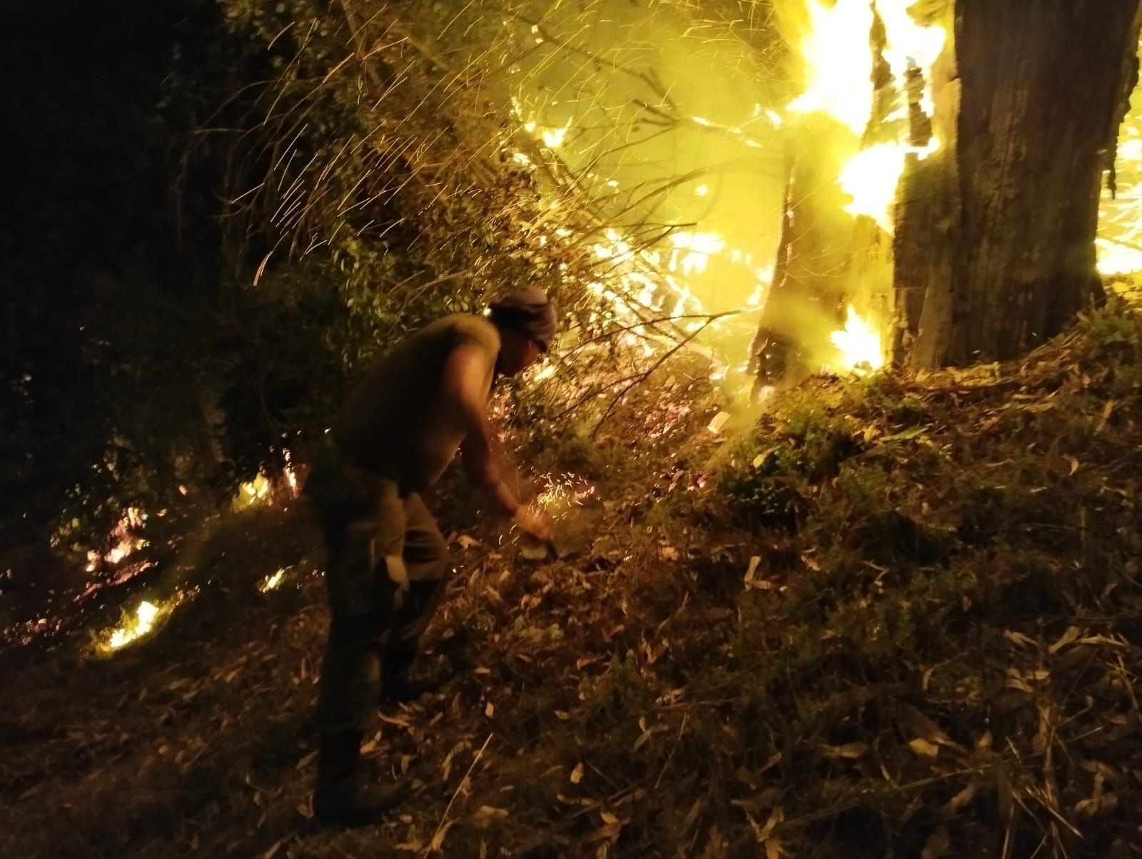 Incendio forestal en Santa Juana