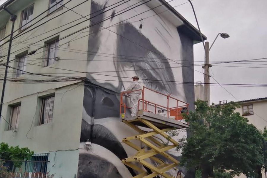 Murales gigantes hacen de Macul un museo al aire libre