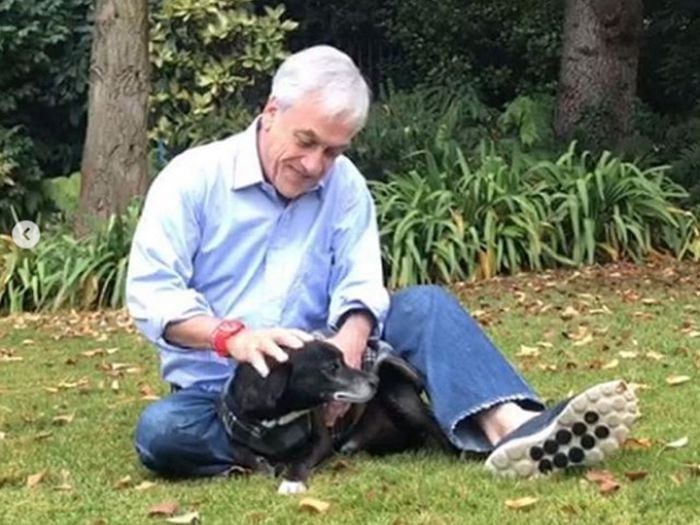 Familia del Presidente Piñera de duelo por muerte de su perro Cholito