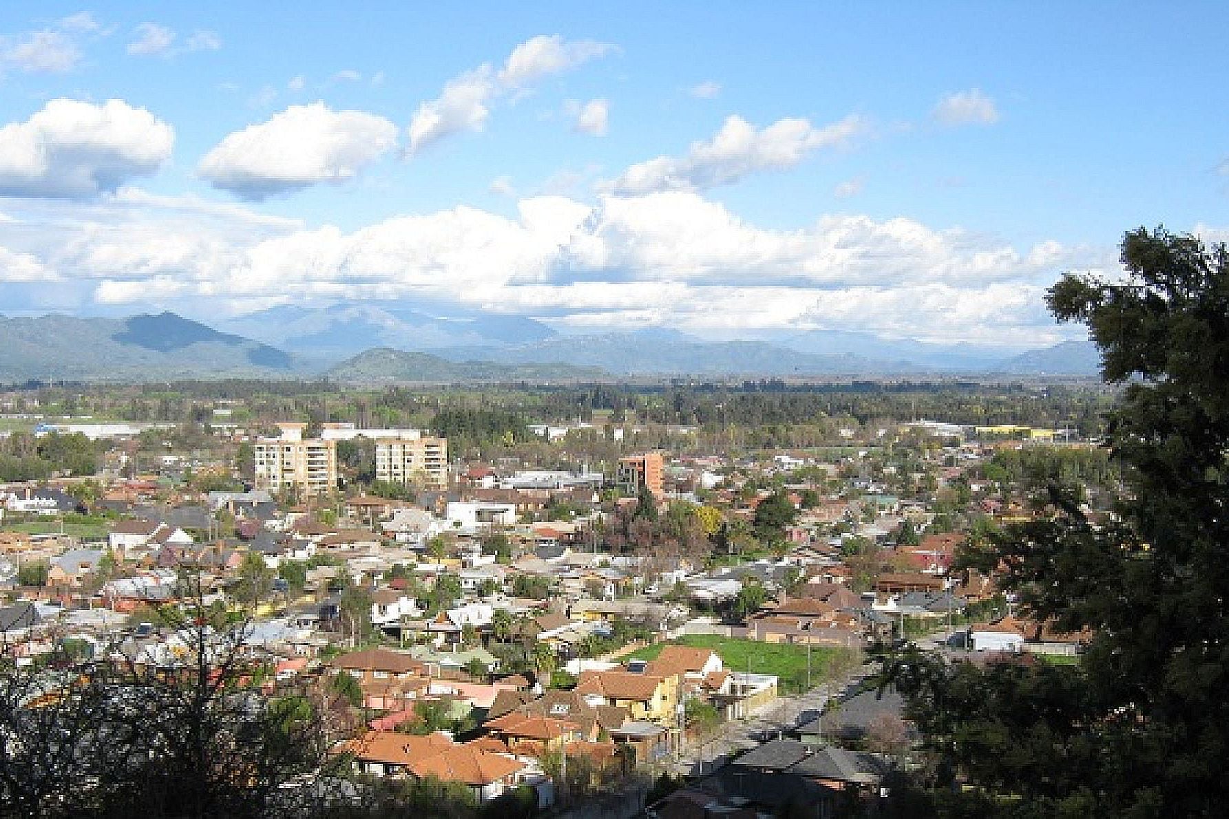 Alerta en Curicó tras llegada de cepa británica