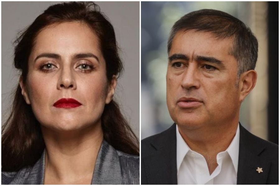 "Don paco...": El tenso round entre Natalia Valdebenito y Mario Desbordes que encendió la web