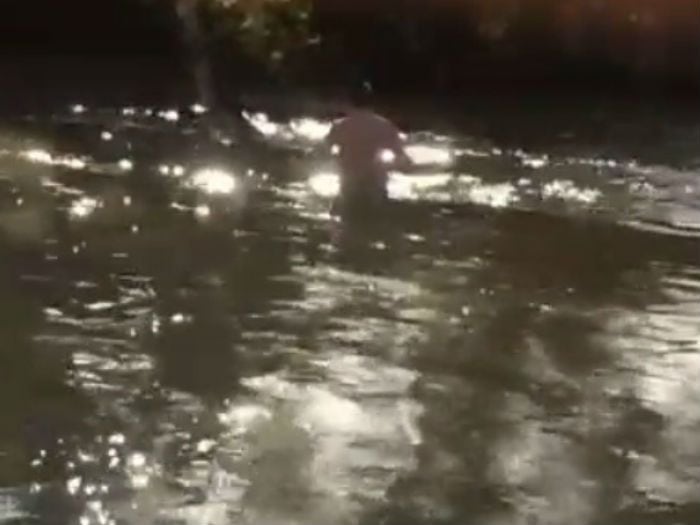 [Video] Carabinero se lanzó a río para salvar a embarazada en Angol