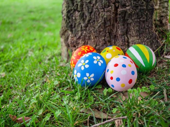 Así fue la visita del Conejito de Pascua a famosos en plena cuarentena