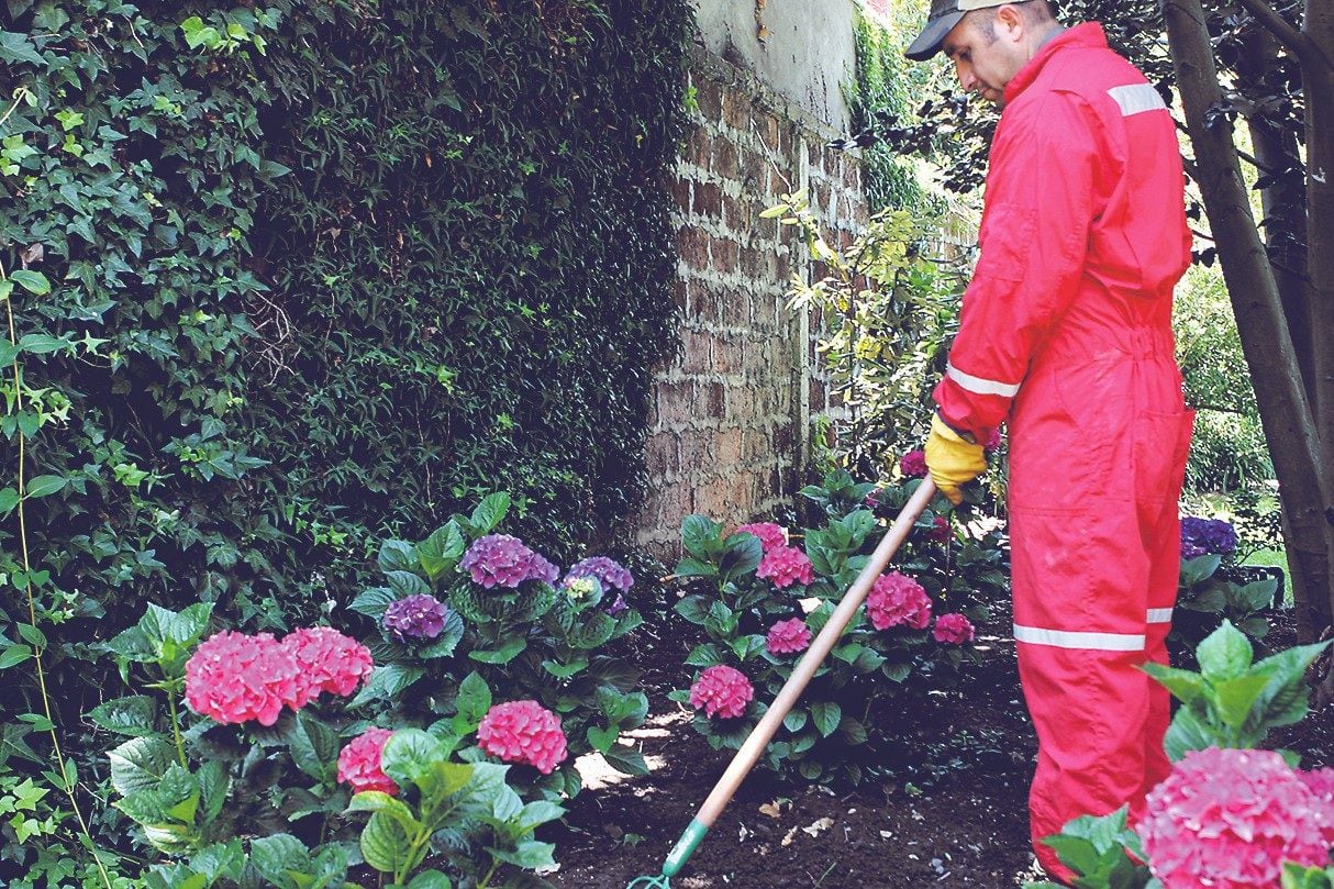 Consejos prácticos para el experto jardinero