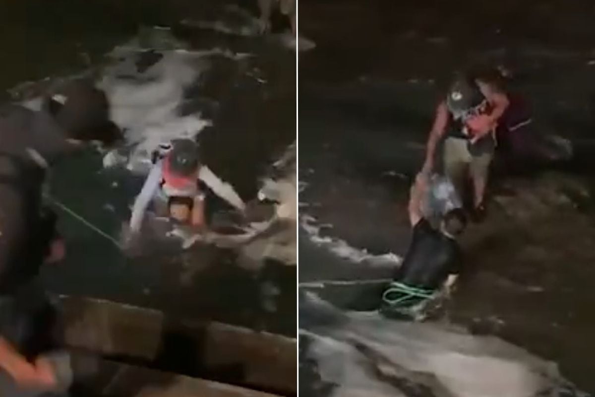 Rescate marejadas en Iquique