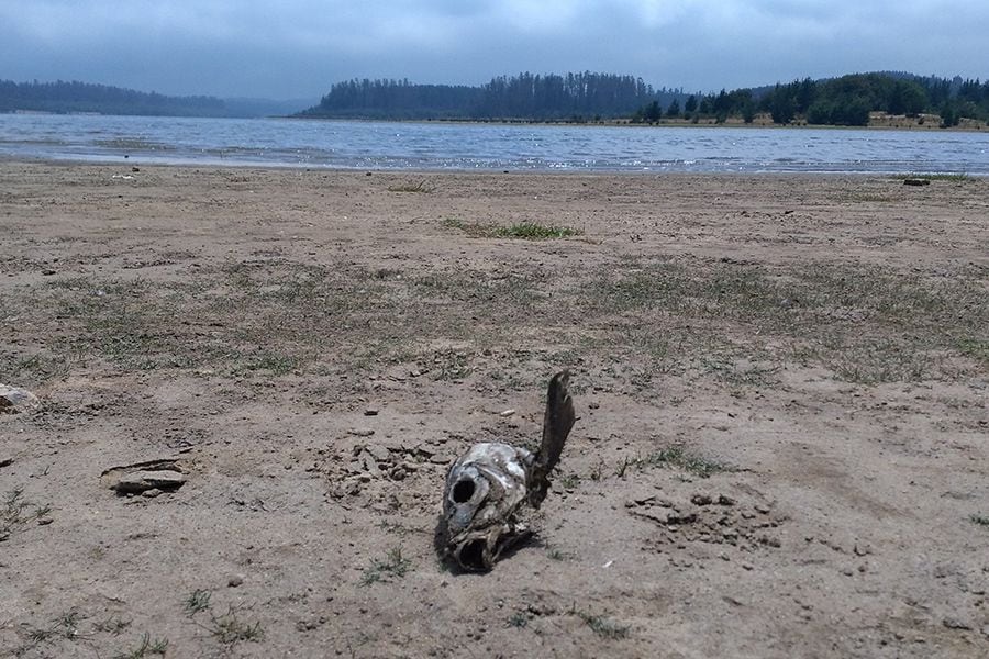 Advierten que el Lago Peñuelas se quedaría seco en marzo