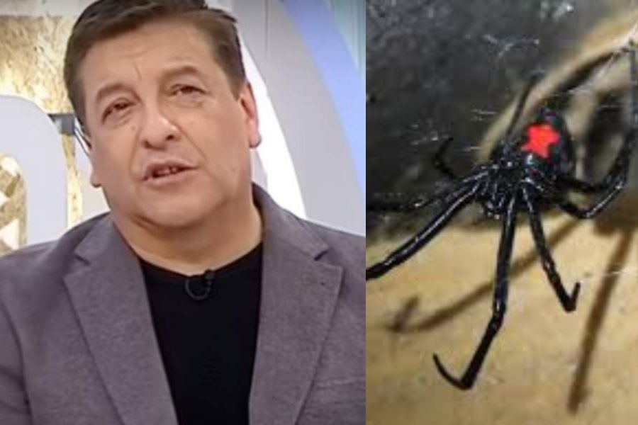 "Picado de la araña": JC Rodríguez recordó el doloroso efecto de una mordedura cuando niño