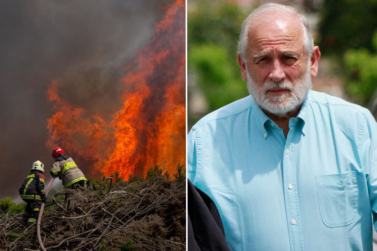 La firme sobre los conejos e incendios forestales