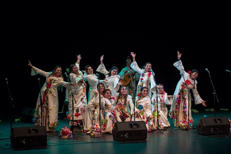 Flor de Juanas llevan sus colores a Providencia