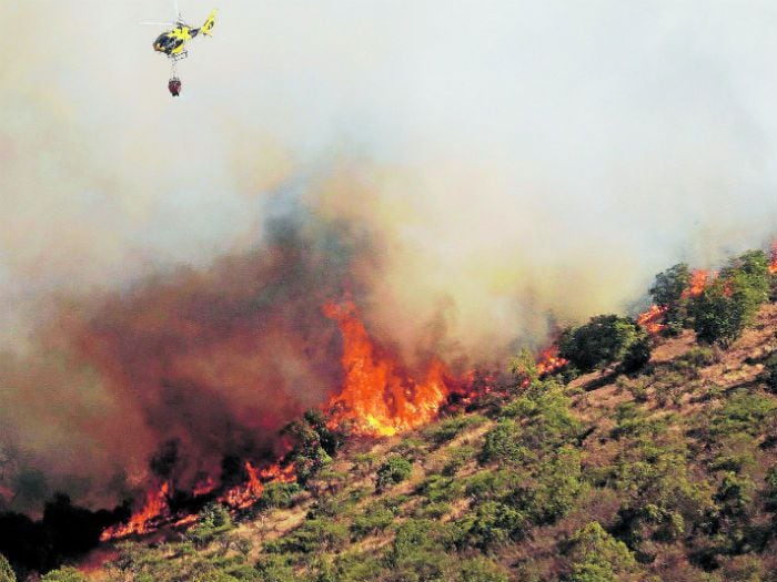 "Infierno" de los incendios forestales no da tregua