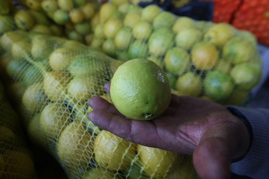 Sáquele el jugo al ofertón: a luca los 18 kilos de limones