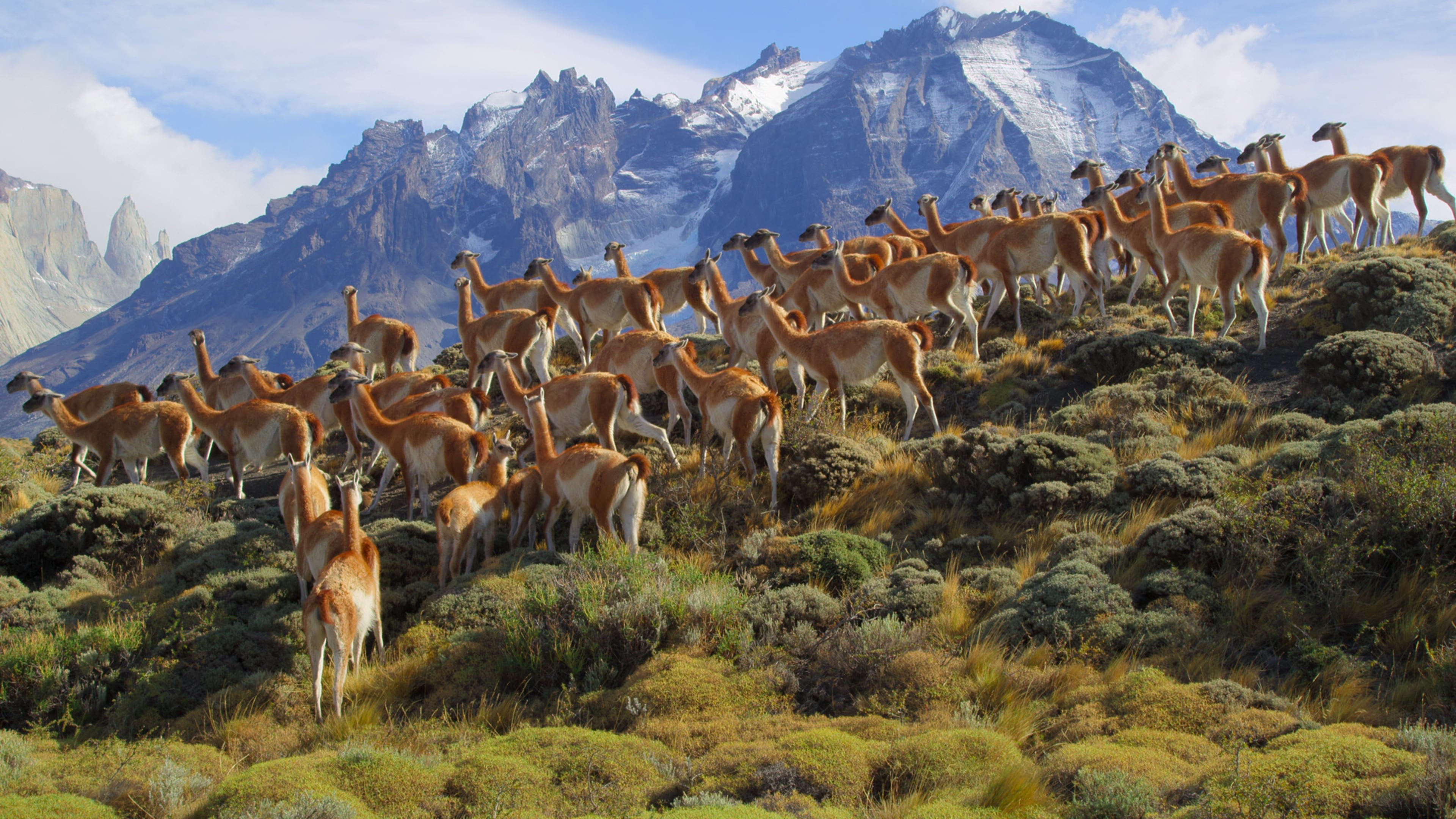 Our Great National Parks. Foto: Netflix