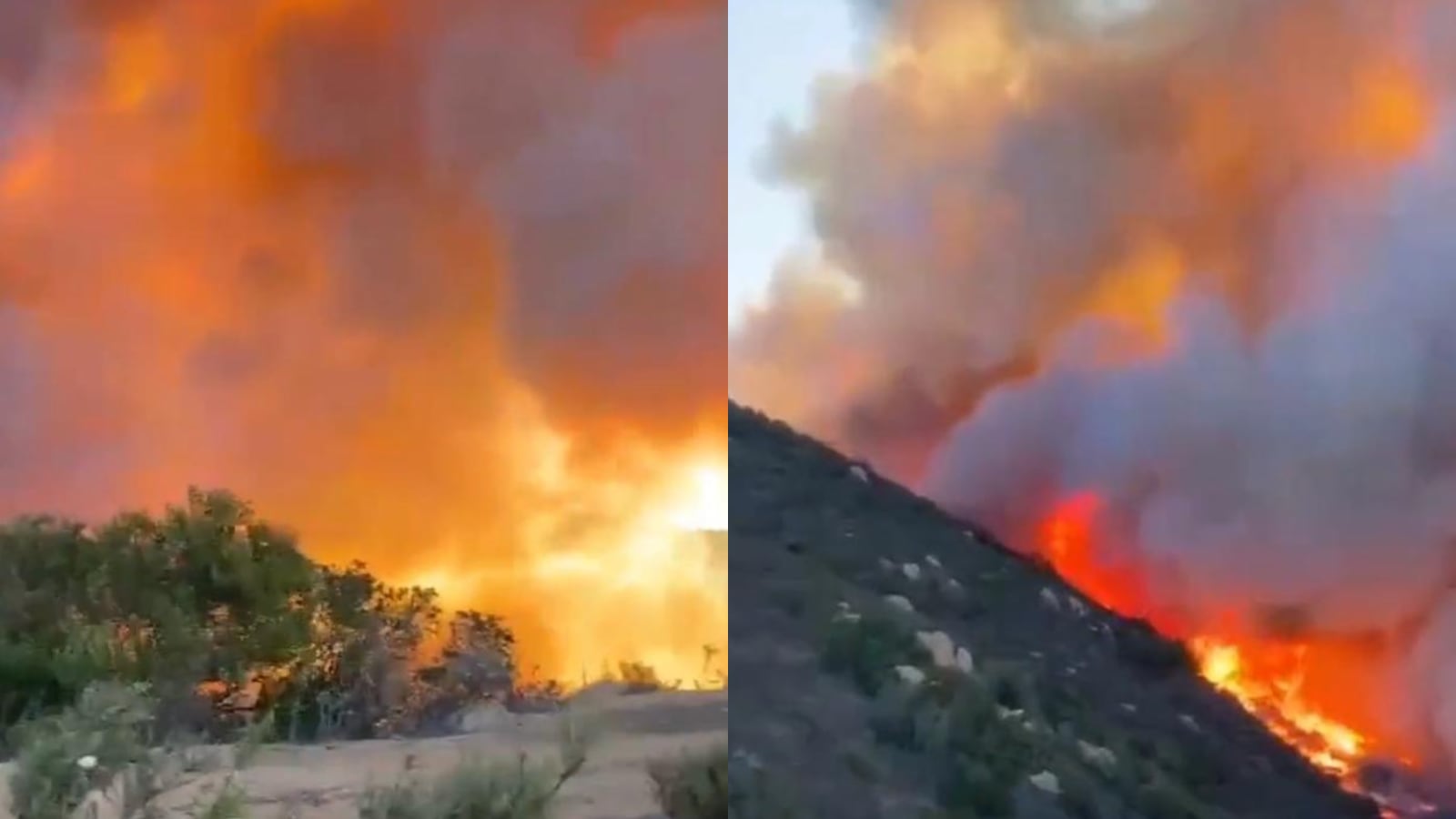 Alerta Roja por violento incendio en Zapallar y Papudo: el fuego amenaza sectores poblados