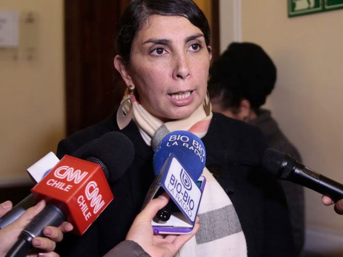 Intendenta Karla Rubilar no descarta ampliar plazo de fondas