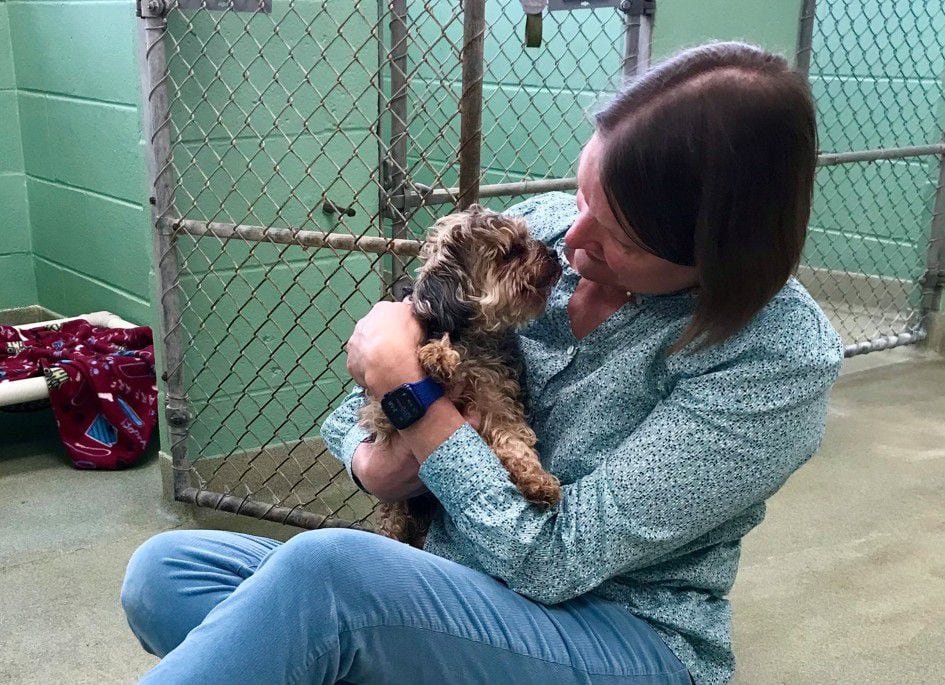 Historia de la mujer que le robaron su perrito y lo recuperó siete años después