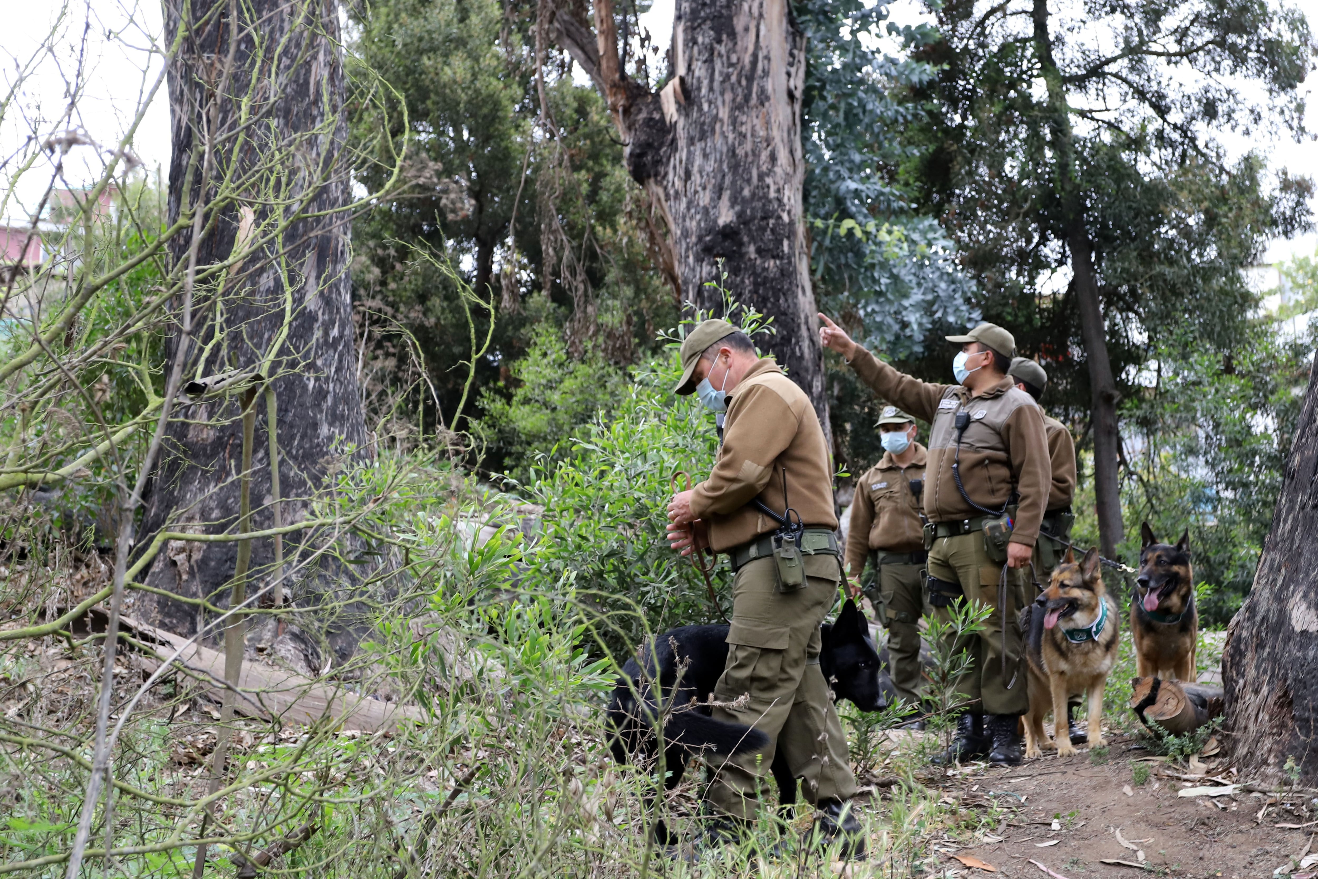 VIÑA DEL MAR: Buscan persona extraviada