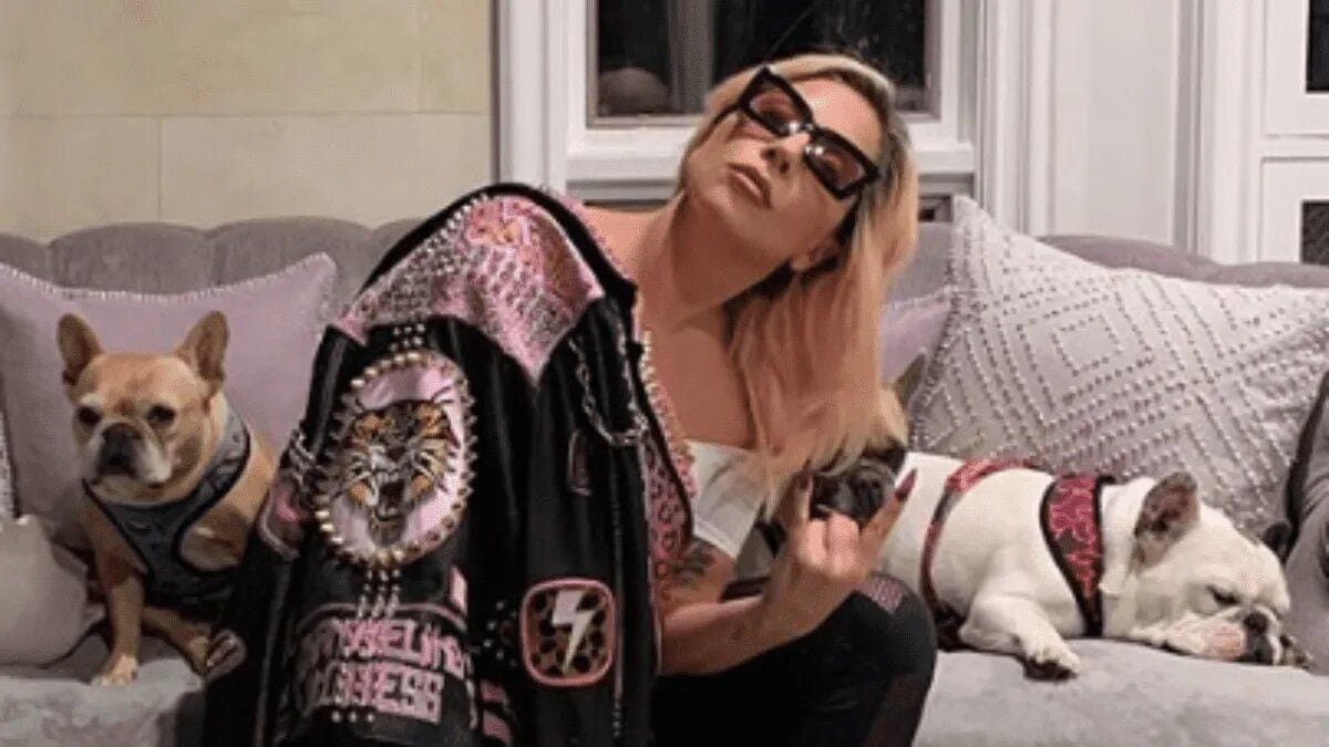 De terror: Robaron los perros de Lady Gaga y le dispararon al paseador