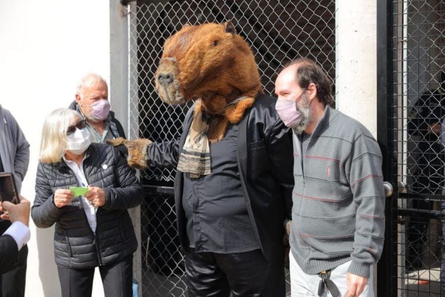 Argentina: hombre fue a votar disfrazado de carpincho y causó furor