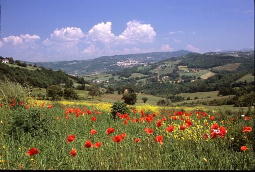 Pueblo italiano de Teora ofrecerá luquitas a los que vayan a poblar la zona