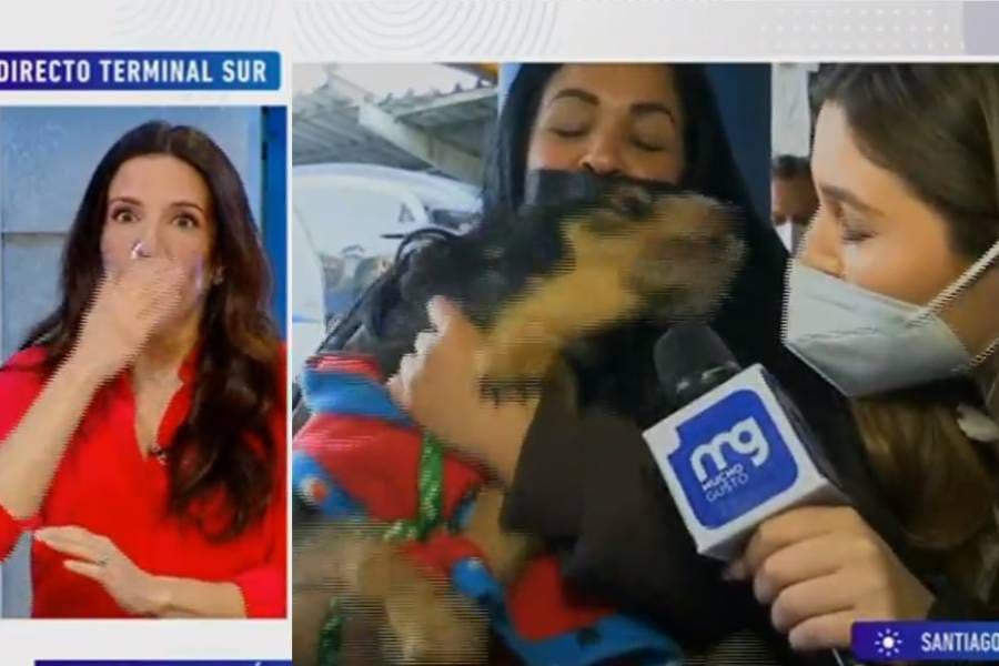 "¡No me hue...!": periodista de Mucho Gusto sufrió inesperada reacción de perrito