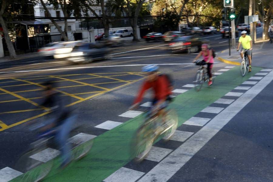 Ley de Convivencia Vial: el nuevo reglamento para ciclistas y traslado de mascotas