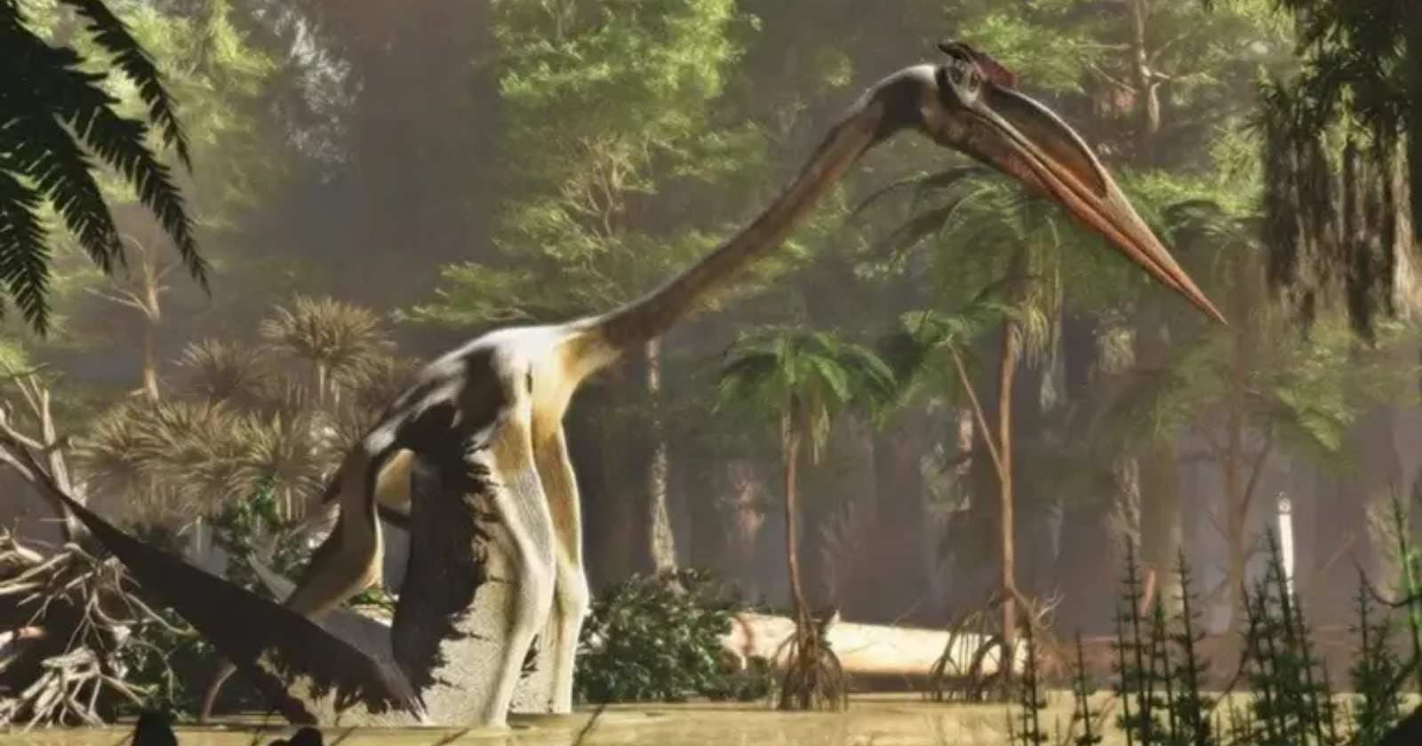 Pterosaurio